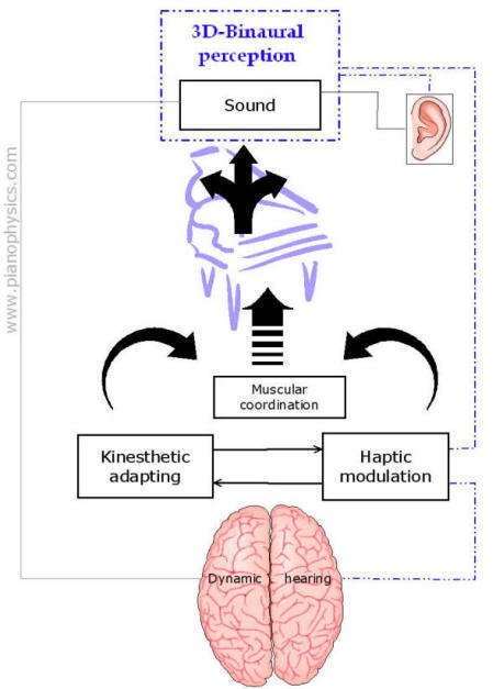 3-dimensional binaural perception of piano aura and piano haptic loop